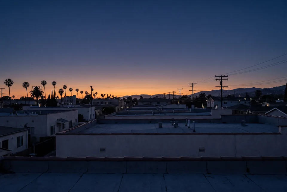 Flat roofs, palms and power lines in silhouette against an indigo sky at dusk